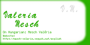 valeria mesch business card